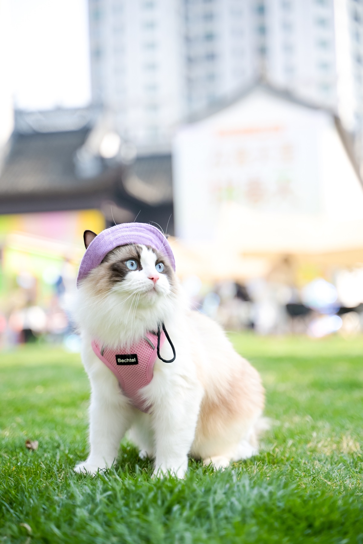 上海苏河湾万象天地，若来赏春季现场照片 13